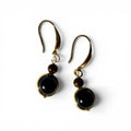 Aegis earrings